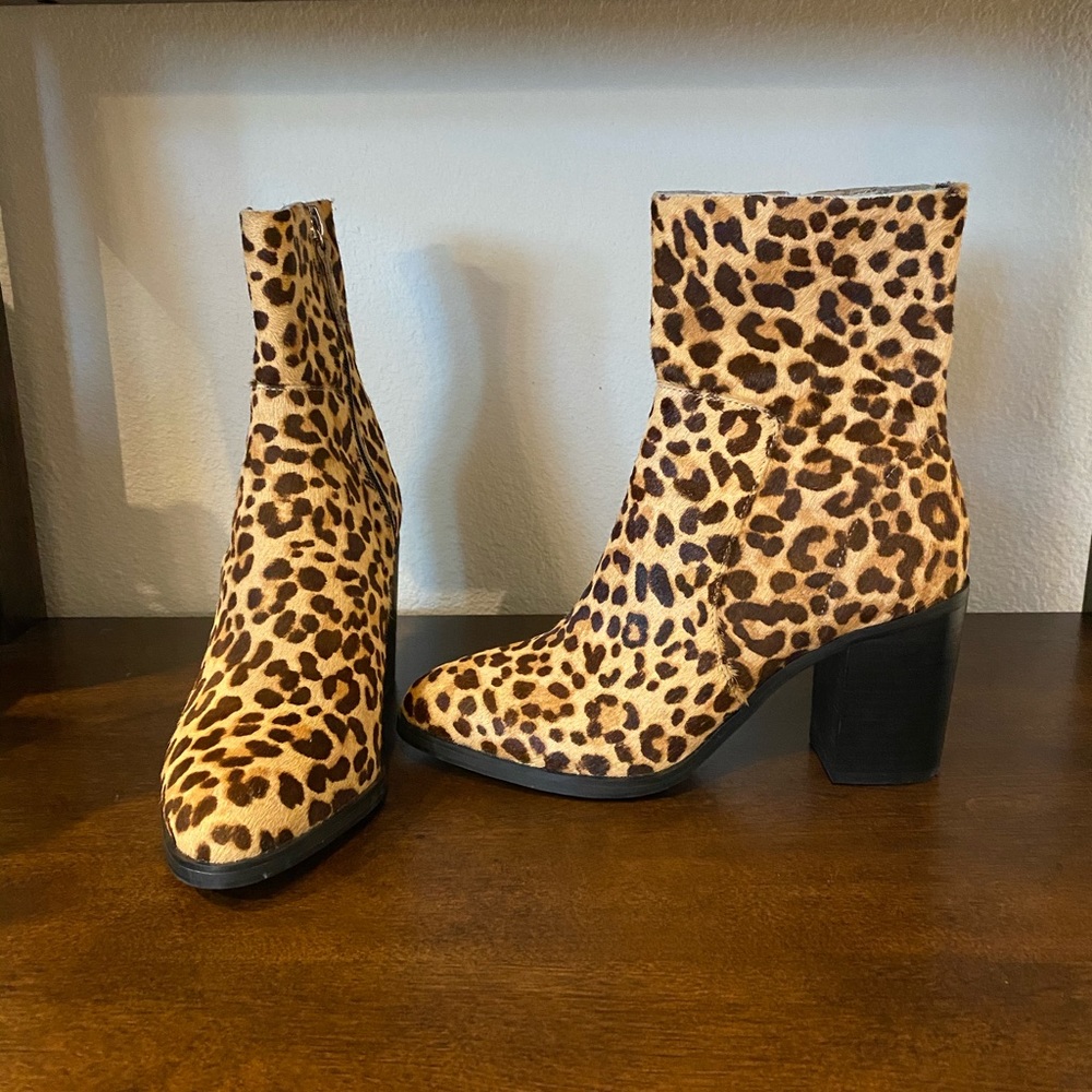 Steve Madden: Leopard ankle boots